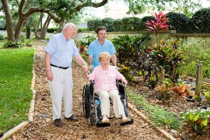 Nursing Home Abuse Nursing Home Abuse