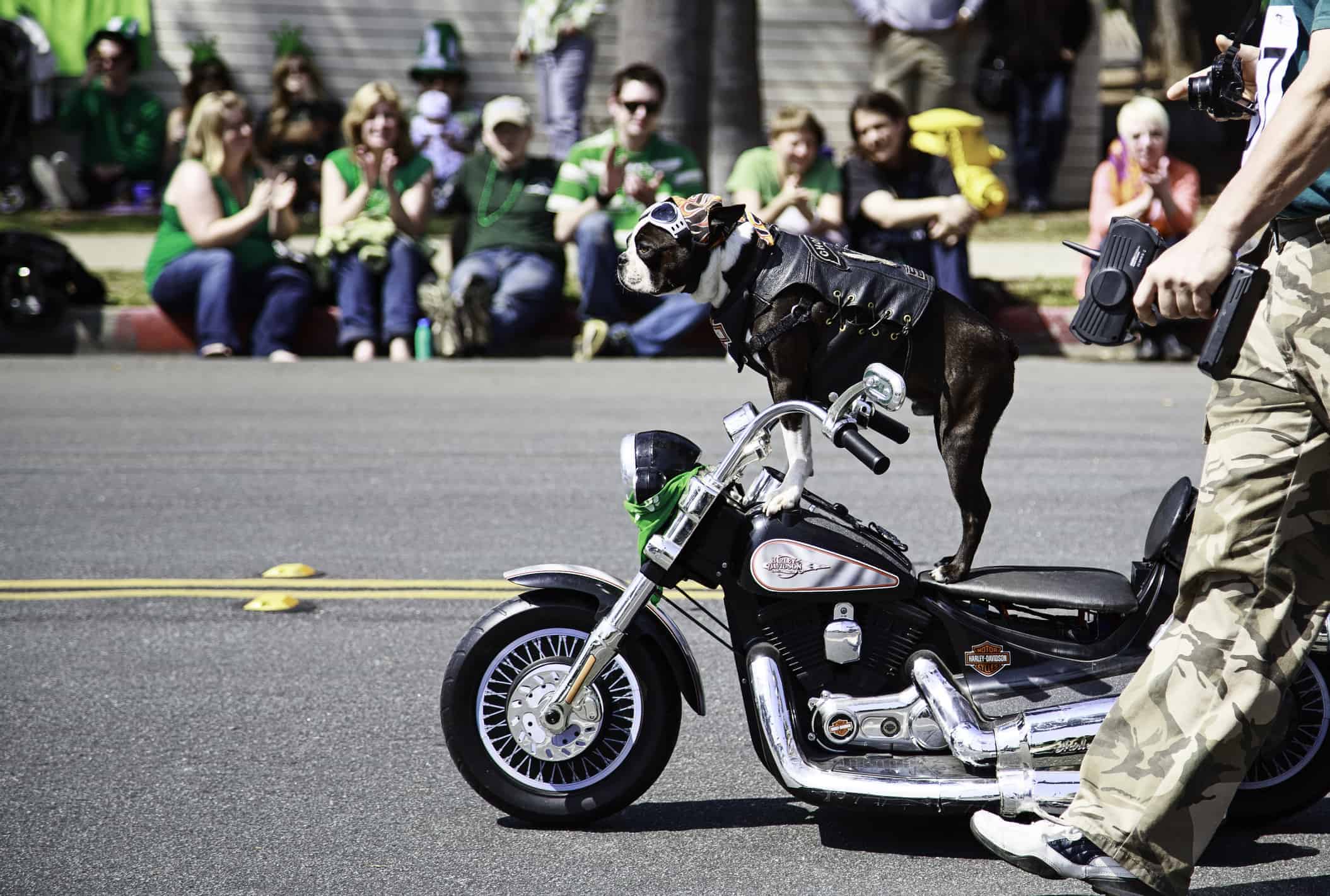 The BikerFest Block Party