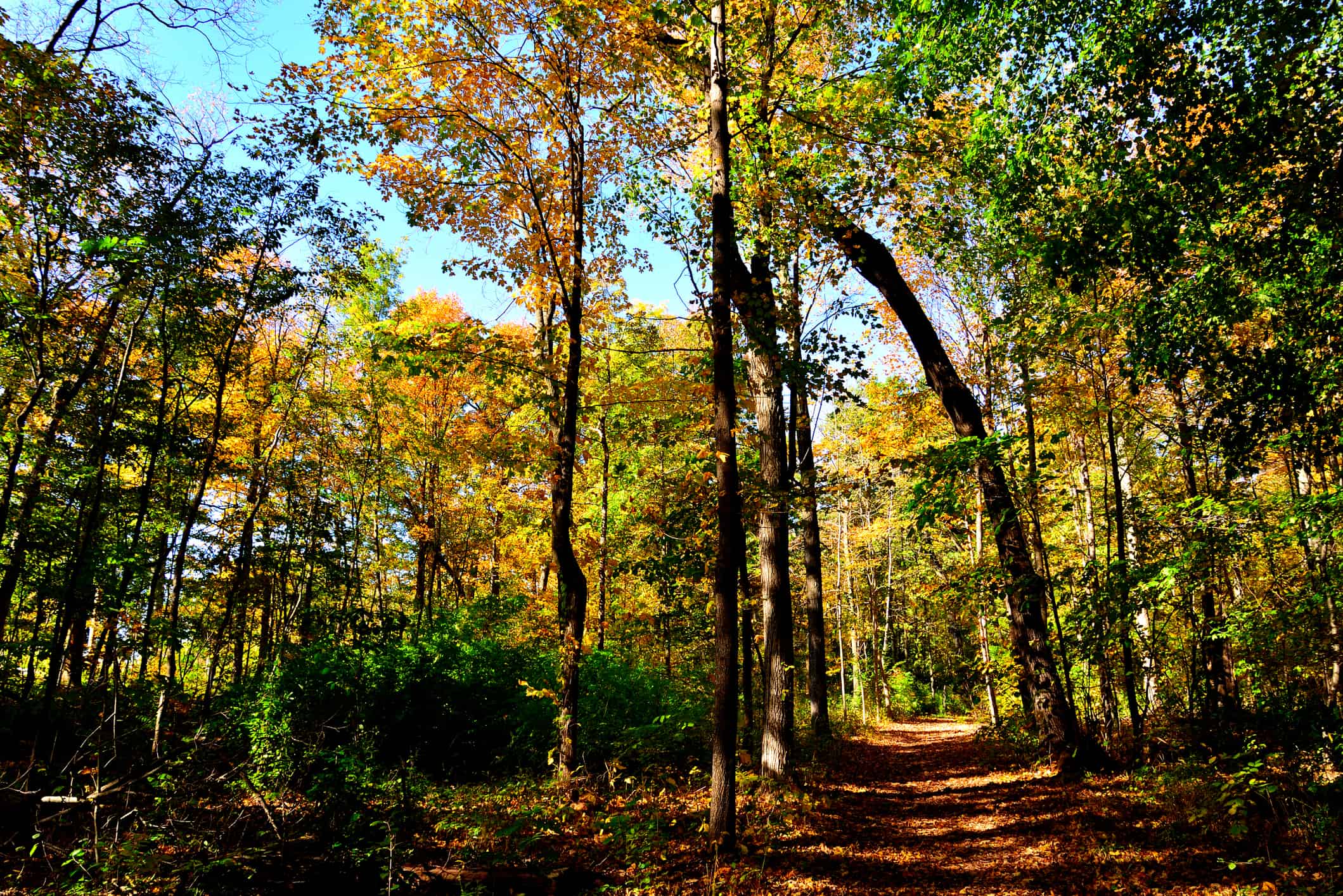 Kenosha Parks