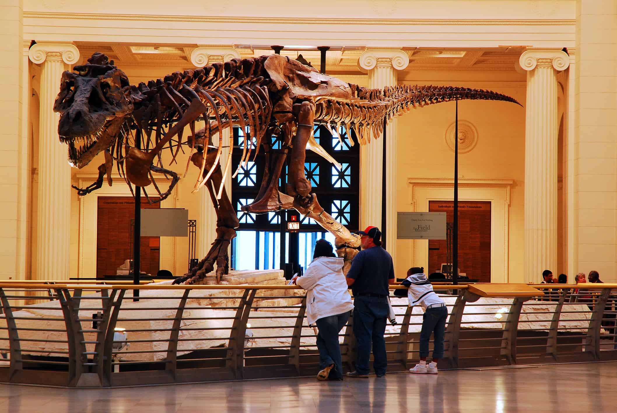 The Dinosaur Discovery Museum