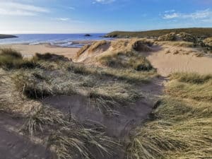 Beach at Simmons Island